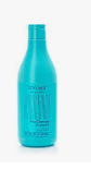 Шампунь укрепляющий BIOTIN SECRETS, 500 мл