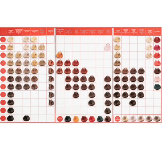 Карта тонов с кисточками Concept Profy Touch 2016 ECO